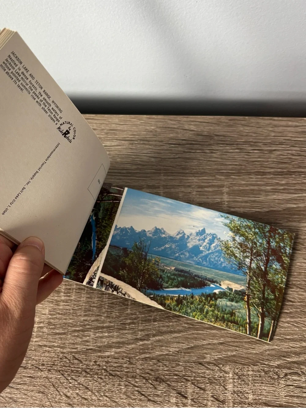 Grand Teton National Park Jackson Hole Wyoming Souvenir Landscape Postcards NEW
